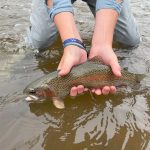 Fly fishing Vail Valley